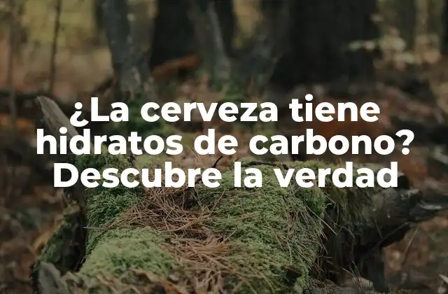 ¿la Cerveza Tiene Hidratos de Carbono? Descubre la Verdad