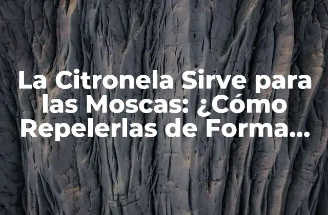 La Citronela Sirve para las Moscas: ¿cómo Repelerlas de Forma Natural?