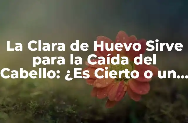 La Clara de Huevo Sirve para la Caída Del Cabello: ¿es Cierto o un Mito?