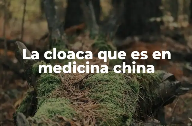 La Cloaca que es en Medicina China