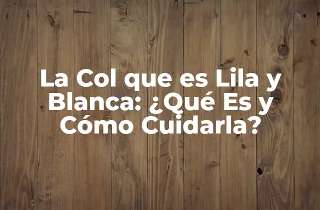 La Col que es Lila y Blanca: ¿qué es y Cómo Cuidarla?