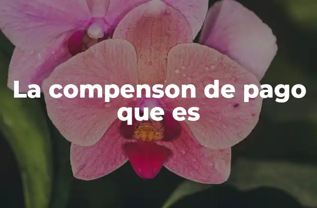 La Compenson de Pago que es