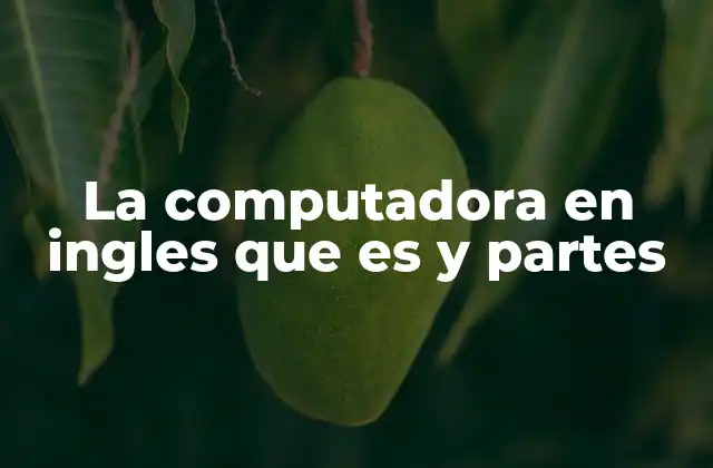 La Computadora en Ingles que es y Partes