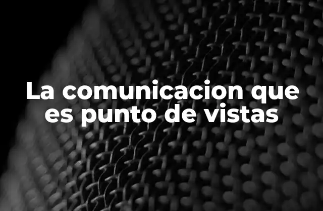 La Comunicacion que es Punto de Vistas