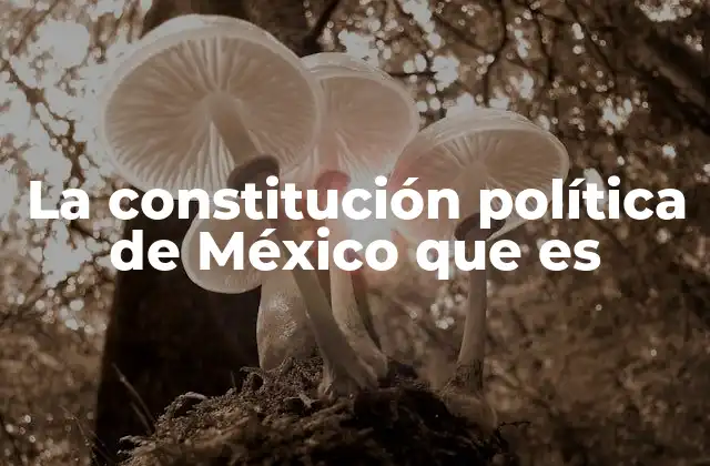 La Constitución Política de México que es