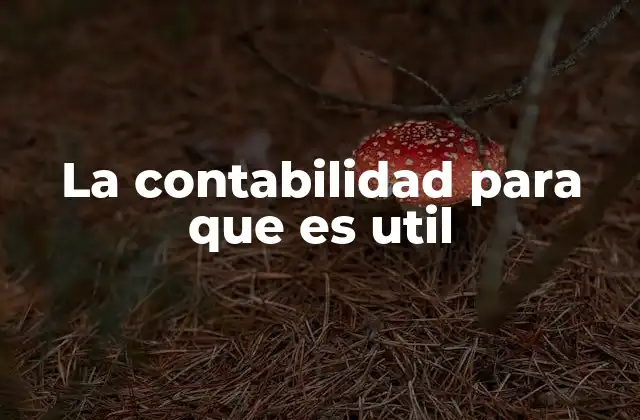 El papel de la contabilidad en la toma de decisiones empresariales