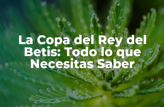 La Copa Del Rey Del Betis: Todo Lo que Necesitas Saber