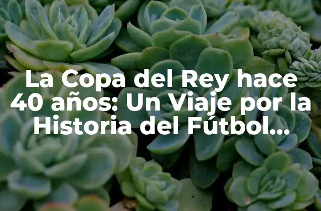 La Copa Del Rey Hace 40 Años: un Viaje por la Historia Del Fútbol Español