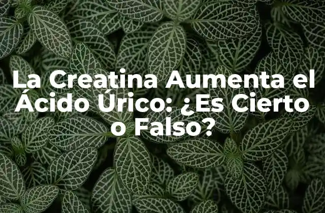 ¿Qué es la Creatina y Cómo Funciona?