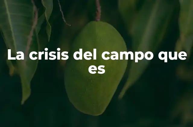 La Crisis Del Campo que es