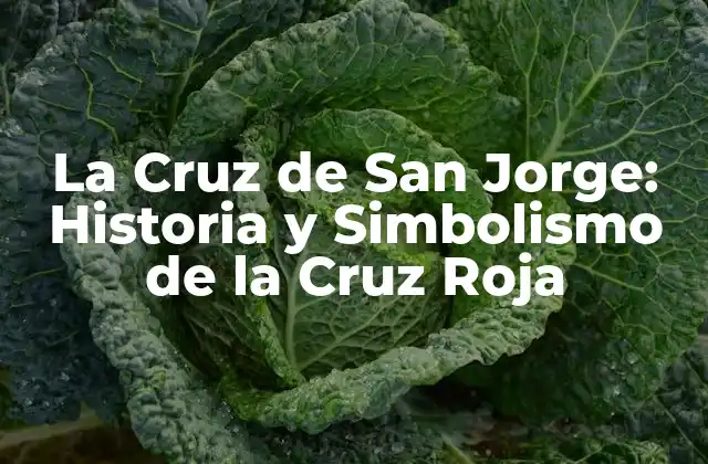 La Cruz de San Jorge: Historia y Simbolismo de la Cruz Roja