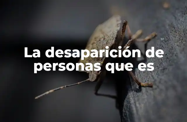 La Desaparición de Personas que es