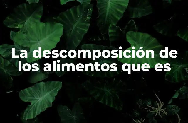 La Descomposición de los Alimentos que es