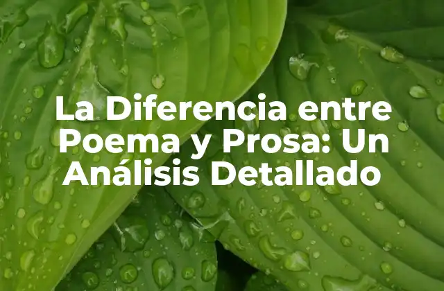 La Diferencia entre Poema y Prosa: un Análisis Detallado