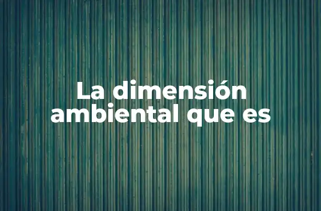 La Dimensión Ambiental que es