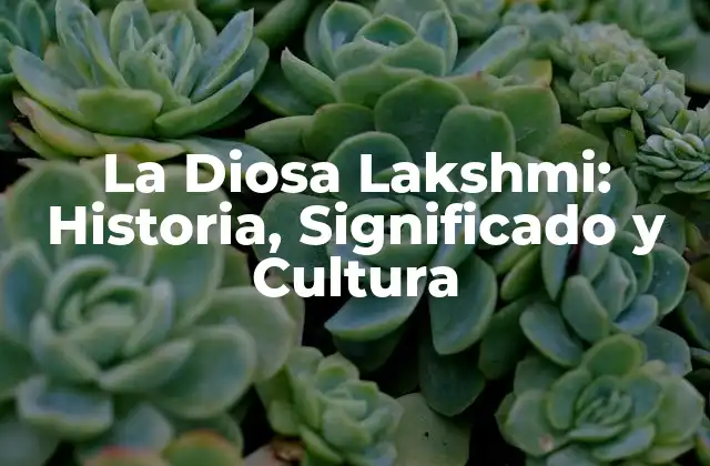 Orígenes y Mitología de la Diosa Lakshmi