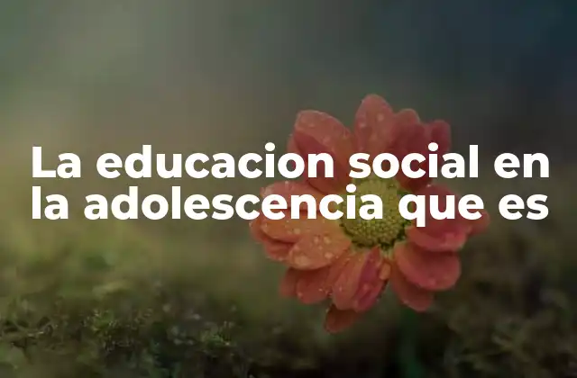 La Educacion Social en la Adolescencia que es