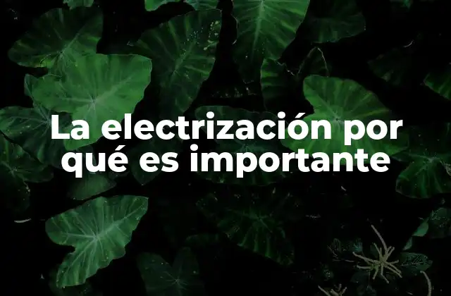 La Electrización por Qué es Importante