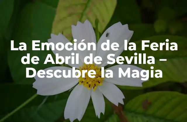 La Emoción de la Feria de Abril de Sevilla – Descubre la Magia