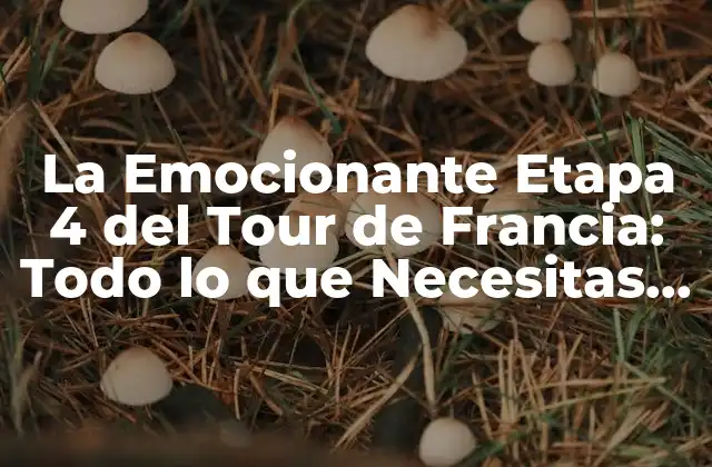 La Emocionante Etapa 4 Del Tour de Francia: Todo Lo que Necesitas Saber