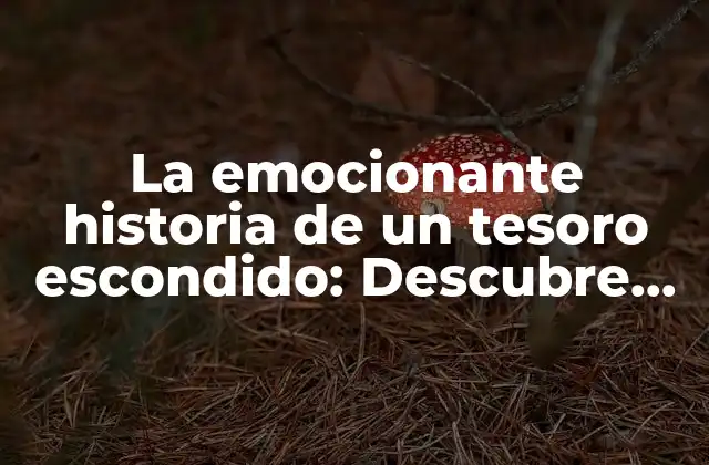 La Emocionante Historia de un Tesoro Escondido: Descubre los Secretos Más Grandes