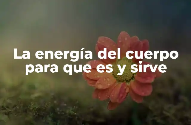 La Energía Del Cuerpo para que es y Sirve