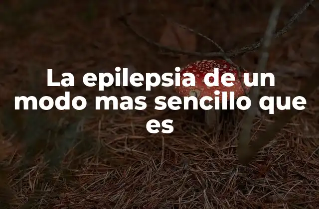 La Epilepsia de un Modo mas Sencillo que es