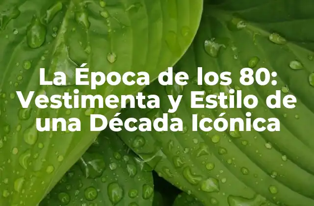 La Época de los 80: Vestimenta y Estilo de una Década Icónica