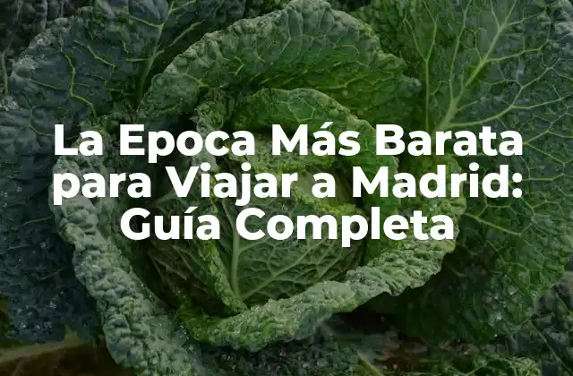 La Epoca Más Barata para Viajar a Madrid: Guía Completa 2 La Temporada Baja en Madrid: ¿Cuándo es?