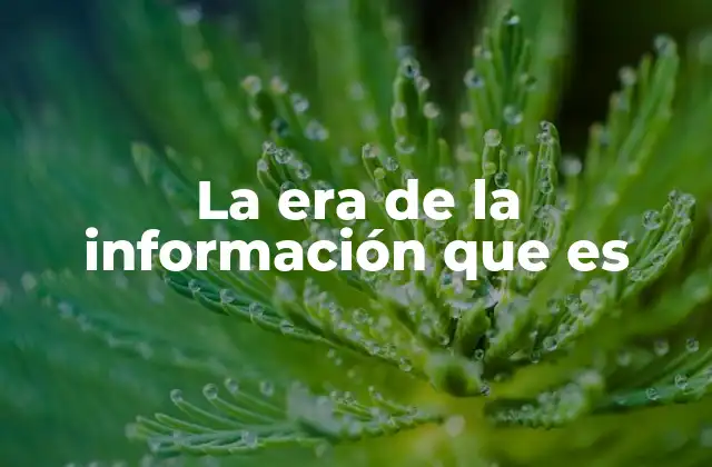La Era de la Información que es