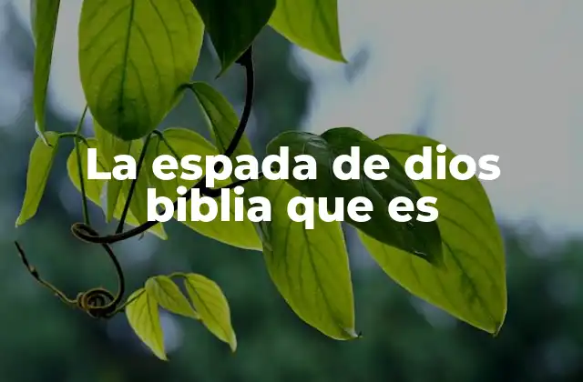 La Espada de Dios Biblia que es