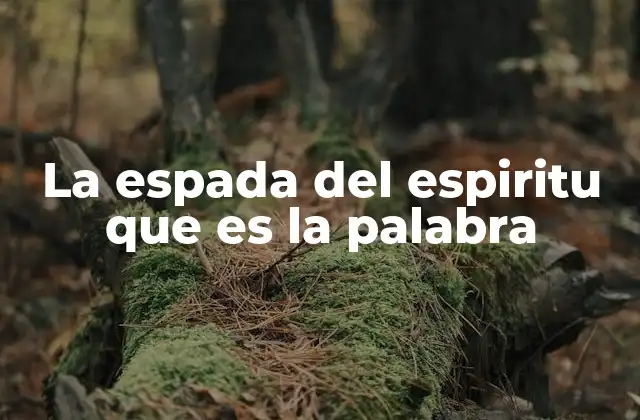 La Espada Del Espiritu que es la Palabra