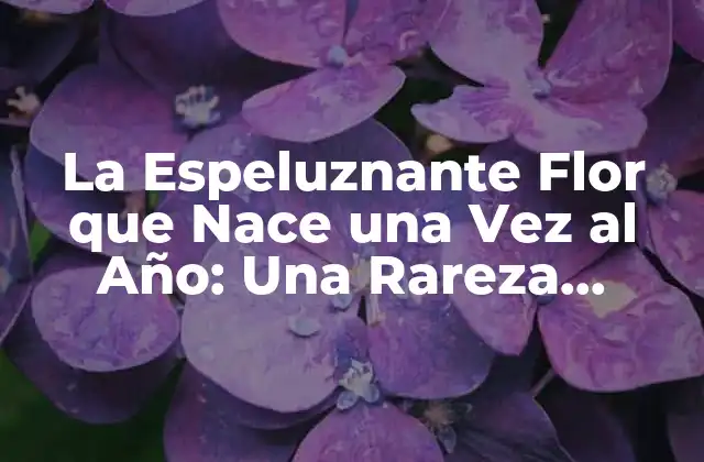 La Espeluznante Flor que Nace una Vez Al Año: una Rareza Natural