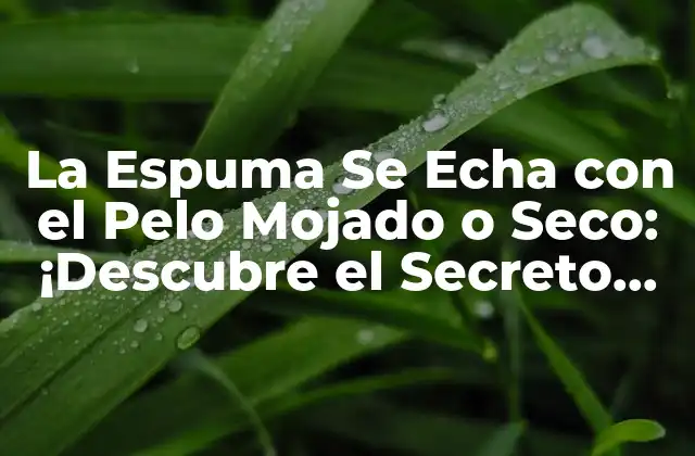 La Espuma Se Echa con el Pelo Mojado o Seco: ¡descubre el Secreto para un Peinado Perfecto!