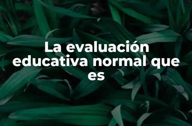 La Evaluación Educativa Normal que es
