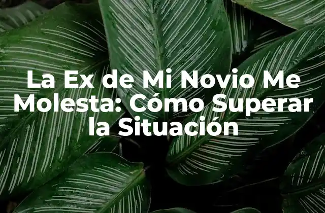 La Ex de Mi Novio Me Molesta: Cómo Superar la Situación