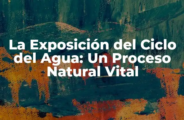 La Exposición Del Ciclo Del Agua: un Proceso Natural Vital