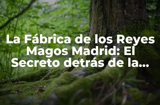 La Fábrica de los Reyes Magos Madrid: el Secreto Detrás de la Magia de la Navidad