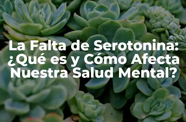 La Falta de Serotonina: ¿qué es y Cómo Afecta Nuestra Salud Mental?