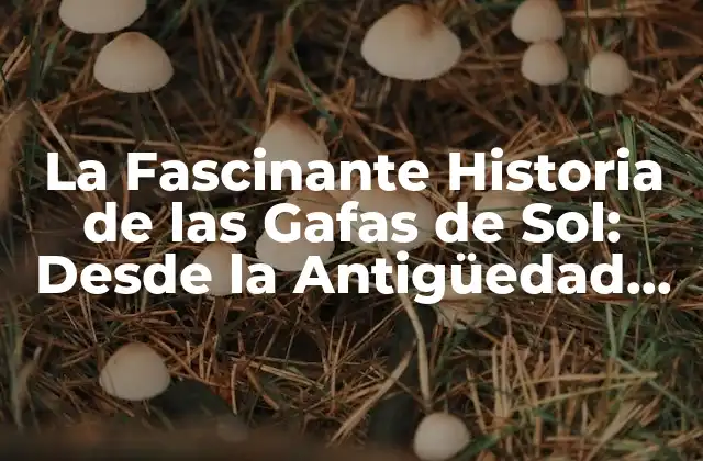 La Fascinante Historia de las Gafas de Sol: desde la Antigüedad hasta el Siglo Xxi