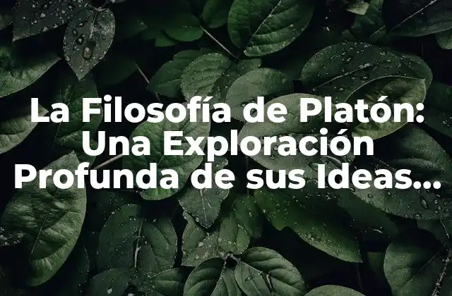 La Filosofía de Platón: una Exploración Profunda de Sus Ideas y Conceptos