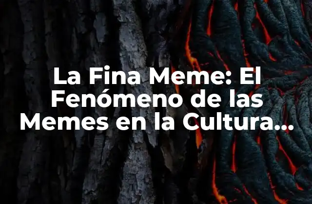 La Fina Meme: el Fenómeno de las Memes en la Cultura Digital