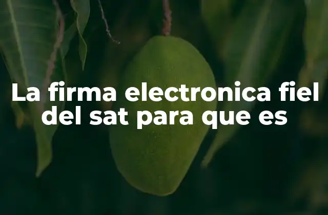 La Firma Electronica Fiel Del Sat para que es