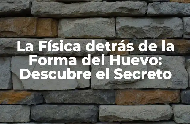 La Física Detrás de la Forma Del Huevo: Descubre el Secreto