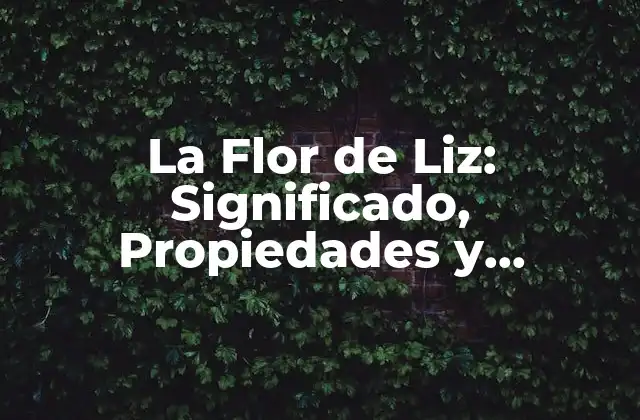 La Flor de Liz: Significado, Propiedades y Cuidados de Esta Hermosa Planta