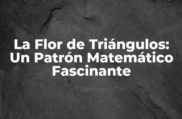 La Flor de Triángulos: un Patrón Matemático Fascinante