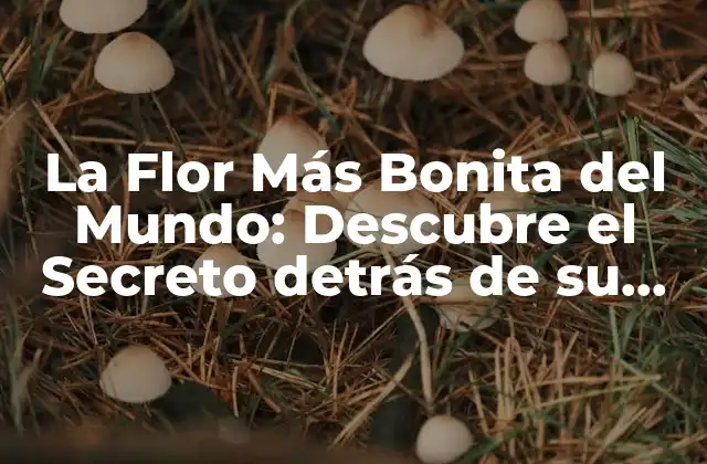 La Flor Más Bonita Del Mundo: Descubre el Secreto Detrás de Su Belleza