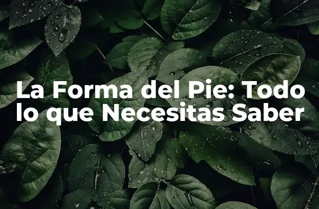 ¿Qué es la Forma del Pie y por qué es Importante?