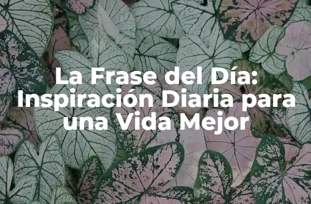 La Frase Del Día: Inspiración Diaria para una Vida Mejor