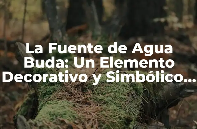 La Fuente de Agua Buda: un Elemento Decorativo y Simbólico en el Jardín